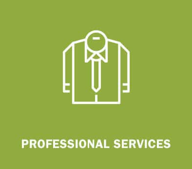 Professional Services-ACTIVE